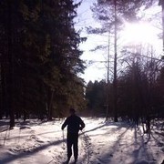 ���������� ������, ���� ������� �����, 36 ���, ������������ ��� ������, ����� � ���������, c�������� ���������