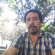  -,   , 55 ,   ,   , c 