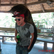  ,   , 36 ,  