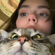  ,  , 22