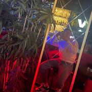 ���������� �������, ���� ����� �����, 23 ����, ������������ ��� ������, ����� � ���������