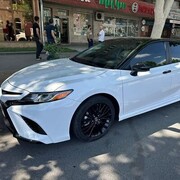 ���������� ����, ���� ������� �����, 39 ���, ������������ ��� ������, ����� � ���������