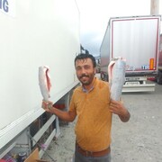  ,   Mahmut, 37 ,   ,   