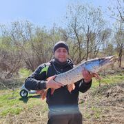 ���������� �����������, ���� ������� ������, 46 ���, ������������ ��� ������, ����� � ���������, c�������� ���������