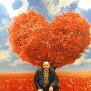 ���������� ������, ���� ������� �����, 39 ���, ������������ ��� ������