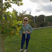 ���������� �����������, ���� ������� ����, 41 ���, ������������ ��� ������, ����� � ���������