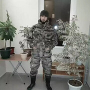 ���������� ������, ���� ������� �����, 37 ���, ������������ ��� ������, ����� � ���������, c�������� ���������