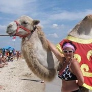 ���������� ��������, ���� ������� �����, 55 ���, ������������ ��� ������, ����� � ���������, c�������� ���������