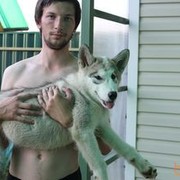 ���������� ������, ���� ������� �������, 36 ���, ������������ ��� ������