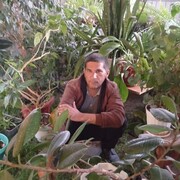 ,   , 45 ,   ,   