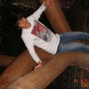 ���������� �������, ���� ������� Rolan, 37 ���, ������������ ��� ������, ����� � ���������, c�������� ���������