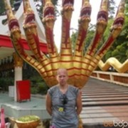  ,  , 53
