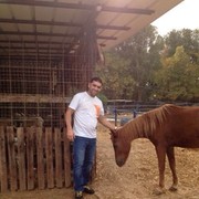  Ashqelon,   , 42 ,   ,   , c , 