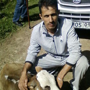 ���������� �������, ���� ������� �������, 51 ���, ������������ 