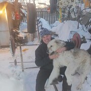 ���������� �������, ���� ������� �������, 64 ����, ������������ ��� c�������� ���������