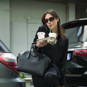 ���������� ��������, ��������