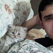 ���������� �����-���������, ���� ������� ����, 28 ���, ������������ ��� ������, ����� � ���������, c�������� ���������, ���������