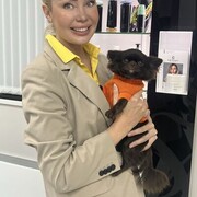 ���������� ������, ���� ������� ����, 36 ���, ������������ ��� ������, ����� � ���������, c�������� ���������, ���������