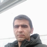  ,  , 41