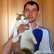  ,   , 33 ,   , 