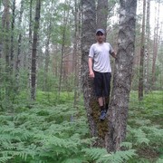 ���������� �������, ���� ������� Ion, 39 ���, ������������ ��� ������, ����� � ���������, c�������� ���������