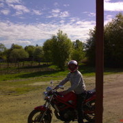 ���������� ������������, ���� ������� ������, 38 ���, ������������ ��� ������, ����� � ���������, c�������� ���������