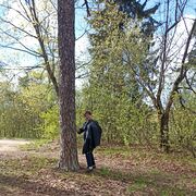 ���������� ������, ���� ������� ���������, 59 ���, ������������ ��� ����� � ���������, c�������� ���������