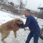 ���������� ������, ���� ������� ������, 50 ���, ������������ ��� ������, ����� � ���������