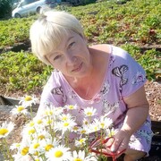  ,   , 54 ,   c , 