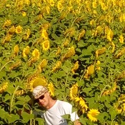 ���������� ������, ���� ������� ϸ��, 48 ���, ������������ ��� ������, ����� � ���������, c�������� ���������