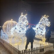 ���������� �������, ���� ������� ����, 41 ���, ������������ ��� ������, ����� � ���������