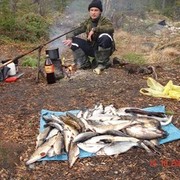  ,   , 58 ,   