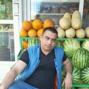  ,   Talex, 46 ,   ,   
