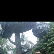  ,   Igor, 40 ,   ,   