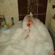 ���������� ����, ���� ������� �������, 35 ���, ������������ ��� ������, ����� � ���������, c�������� ���������