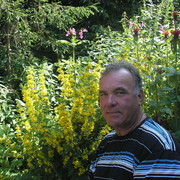 ���������� ���������, ���� ������� ������, 71 ���, ������������ ��� ������