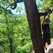 ���������� ���������, ���� ������� �����, 43 ����, ������������ ��� ������, ����� � ���������, c�������� ���������