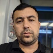  ,   Bleck _gold, 33 ,   ,   