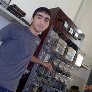 ���������� ����, ���� ������� Salim, 36 ���, ������������ 