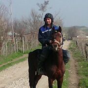 ���������� �����-���������, ���� ������� �������, 36 ���, ������������ ��� ������, ����� � ���������