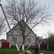  -,   , 38 ,   ,   , c 