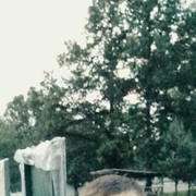 ���������� �����, ���� ������� ����, 29 ���, ������������ 