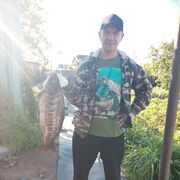 ���������� ���������, ���� ������� ���������, 48 ���, ������������ ��� ������, ����� � ���������