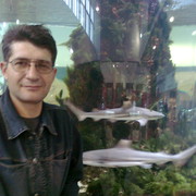 ���������� ���������, ���� ������� �����, 55 ���, ������������ ��� ������, ����� � ���������, c�������� ���������