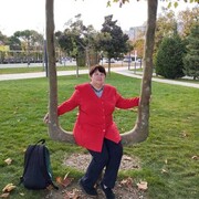 ���� ��������� ���������