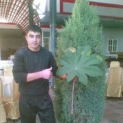  ,   Jasurbek, 34 ,   ,   , c 