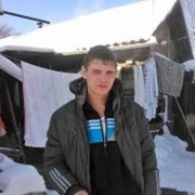  ,   German, 36 ,   