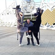 ���������� ������, ���� ������� �������, 38 ���, ������������ ��� ������, ����� � ���������