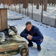 ���������� ��������, ���� ������� ���������, 39 ���, ������������ ��� c�������� ���������