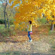  ,   Ani, 39 ,     , c 
